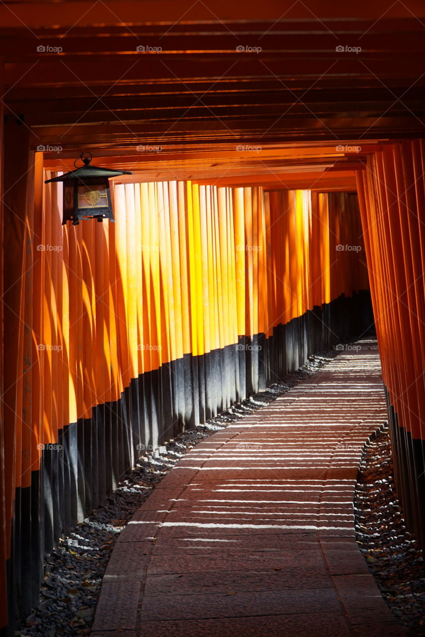 Tori gates at the Fushimi Inari Shrine