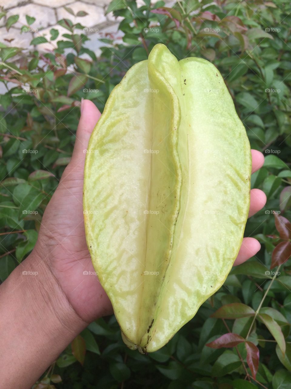 Star fruit ...