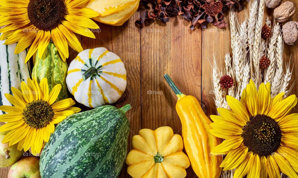 Flat lay with autumn gourds, wheat and sunflowers against a wooden background