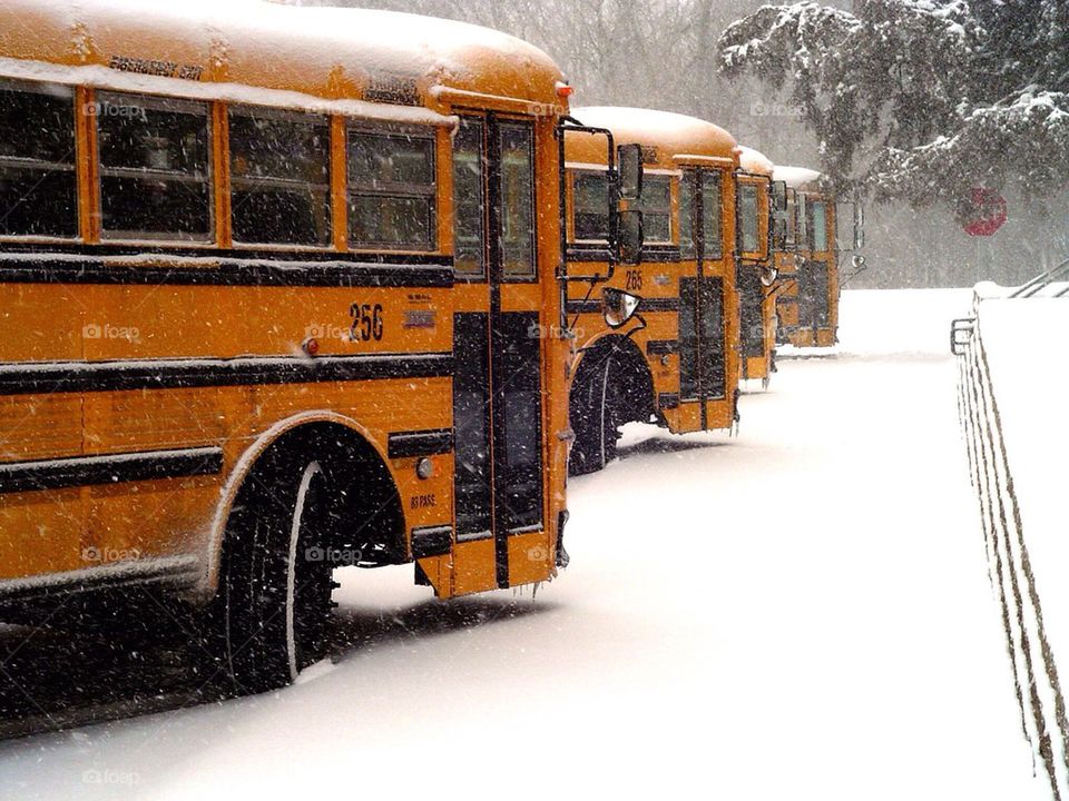 School buses ready to go in the snow