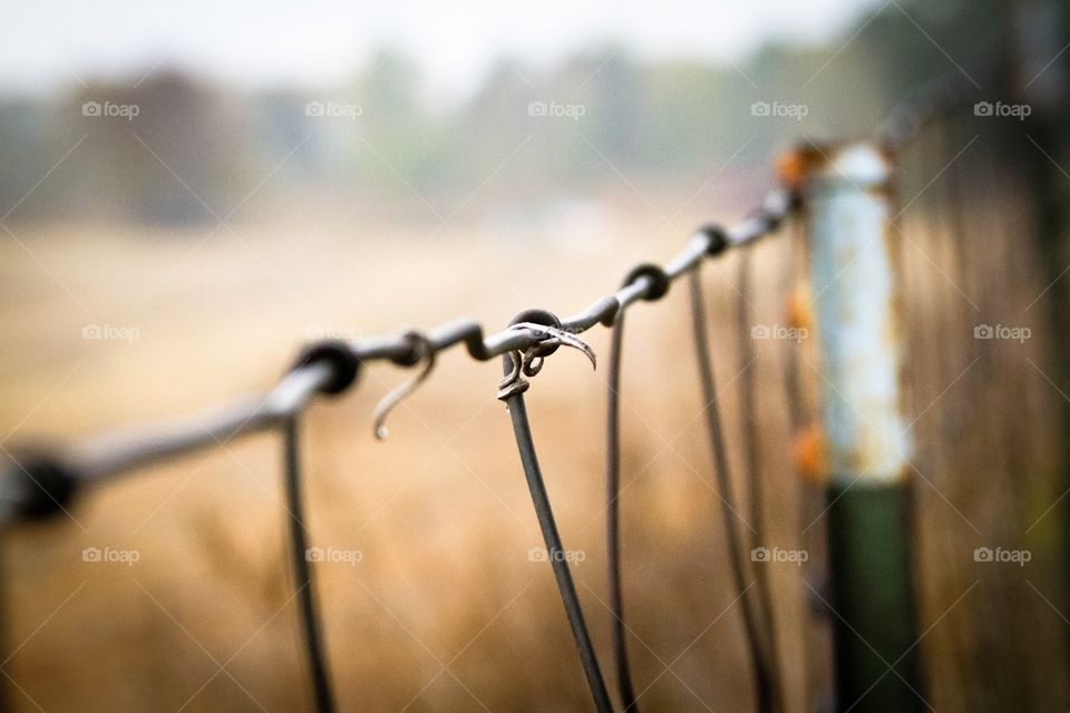 Barbed wire in the fall