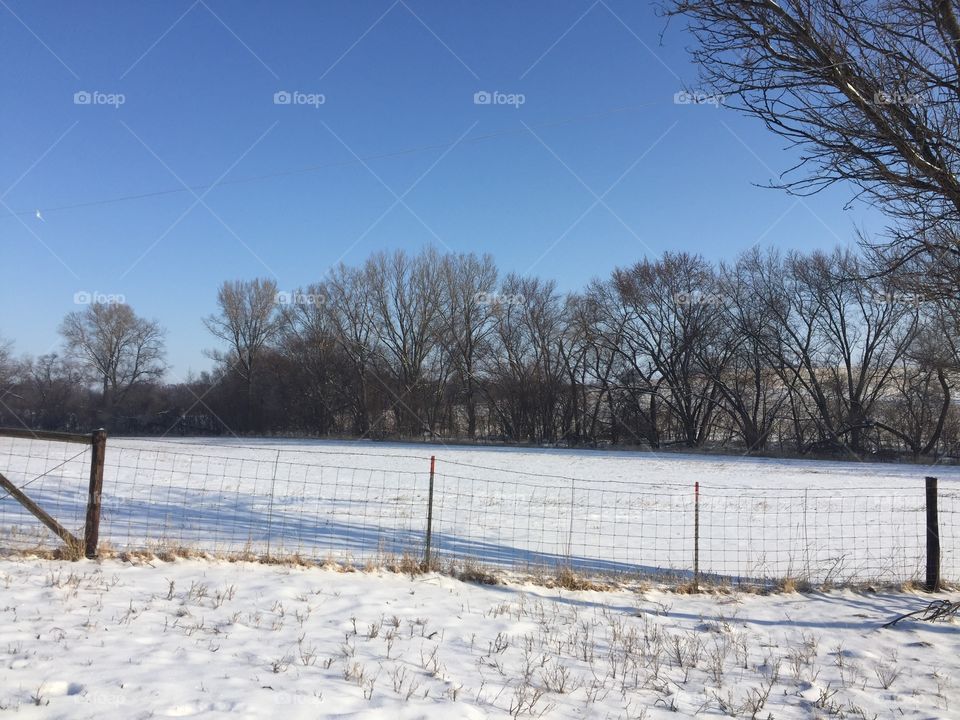 A sunny rural landscape in late winter