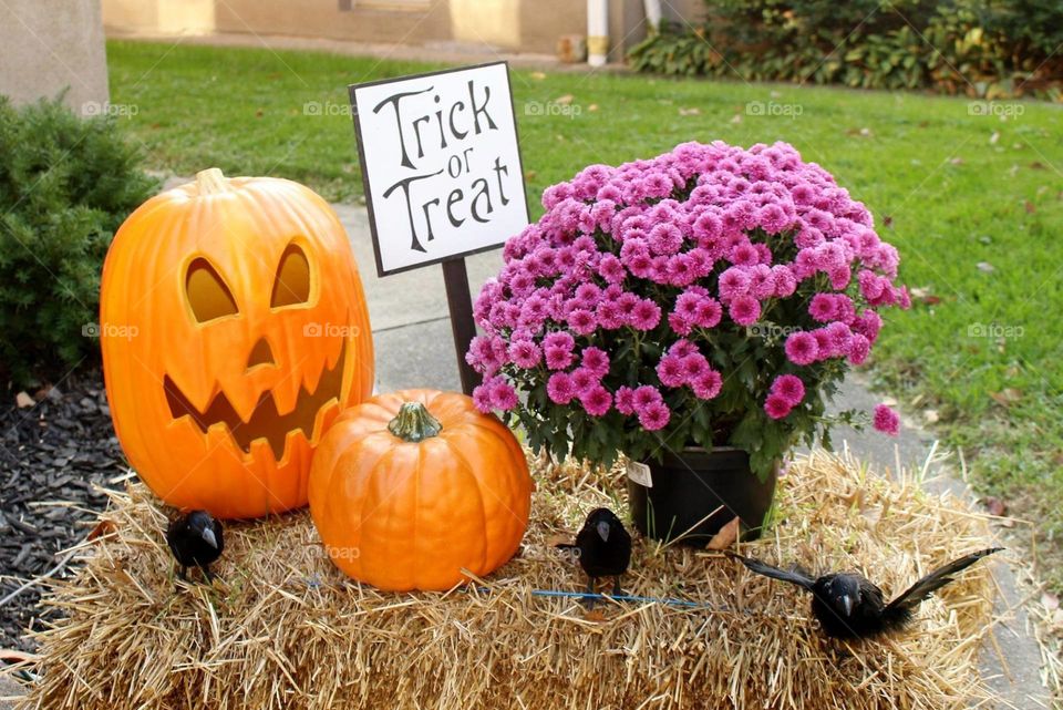 Halloween decorations with pumpkins and mums