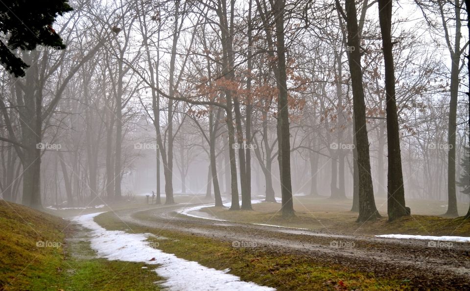 A foggy day in Pennsylvania 
