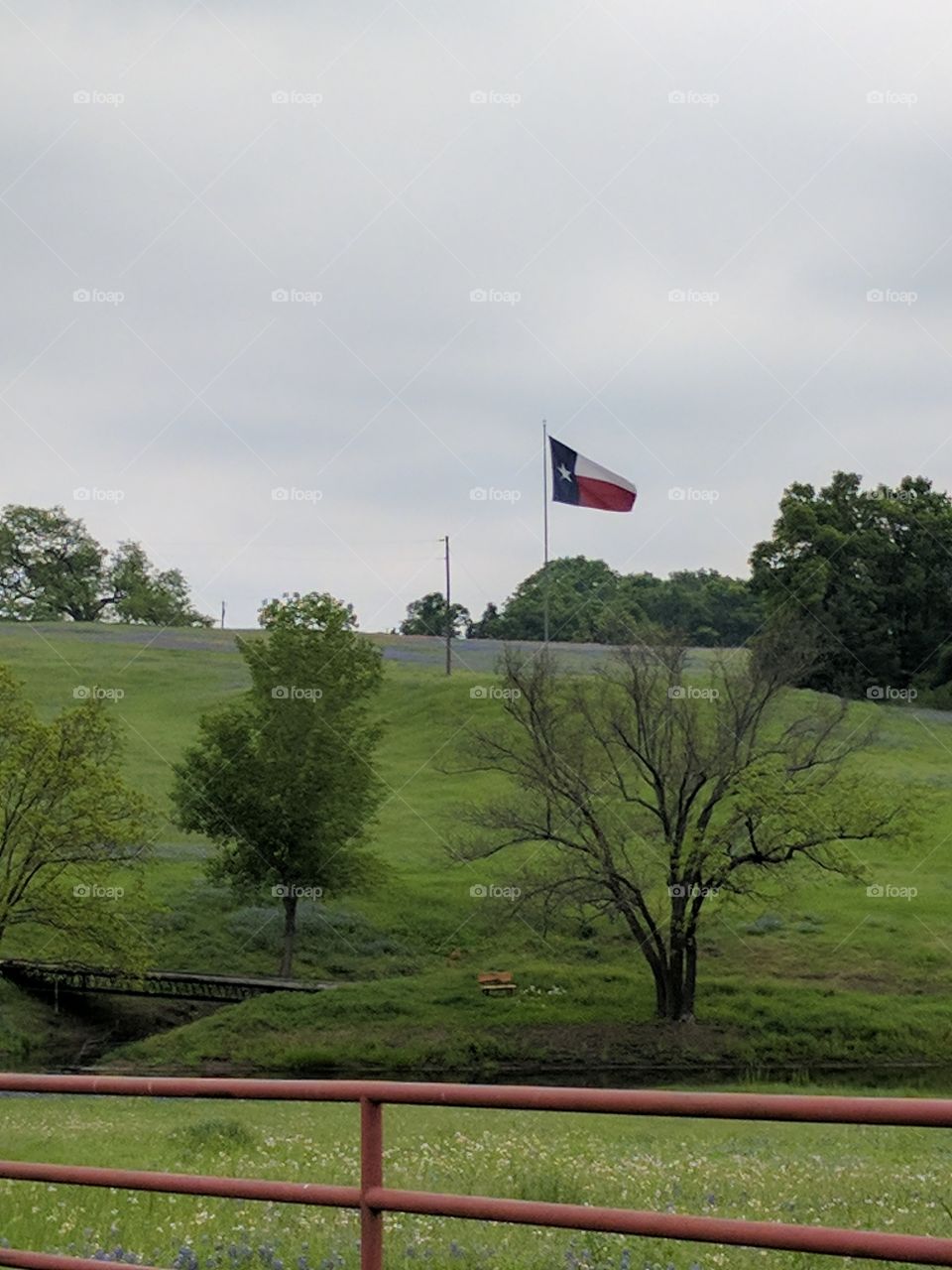 pasture in Texas