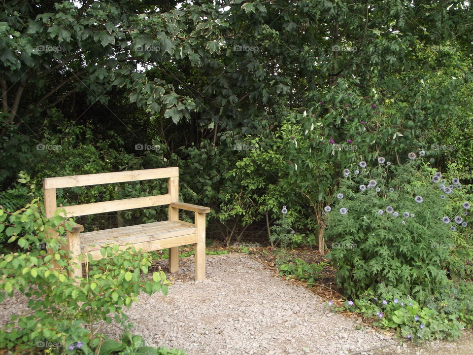 Garden Bench