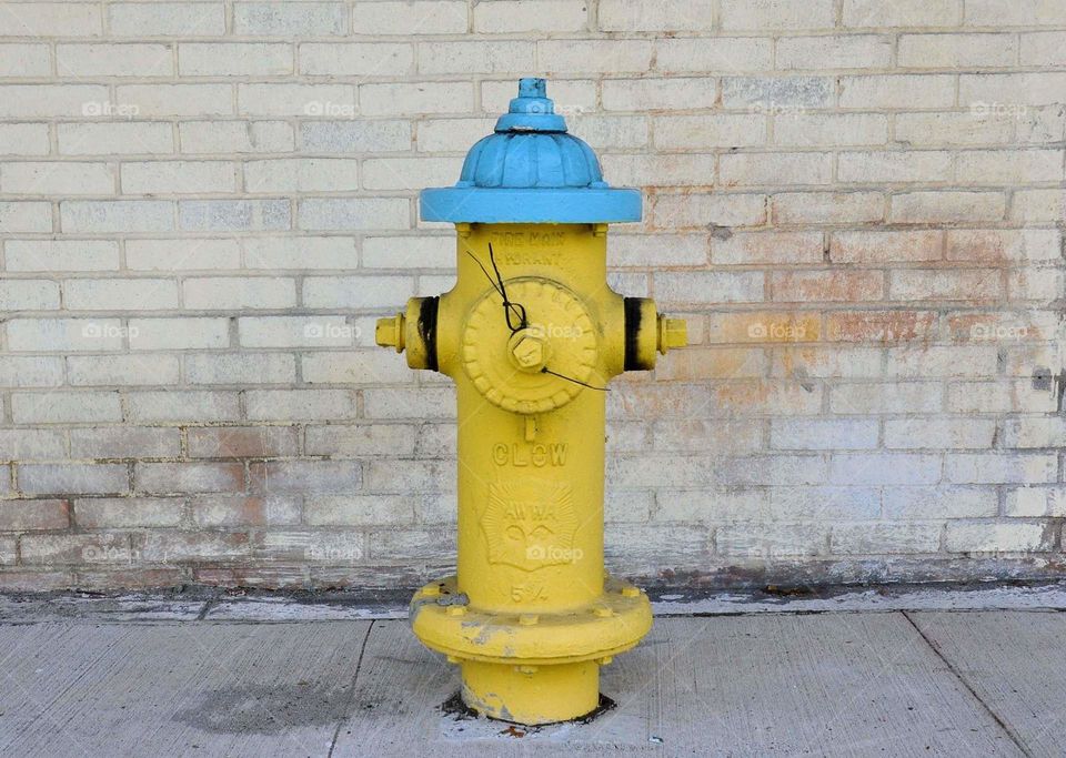 fire hydrant, Tampa, Florida