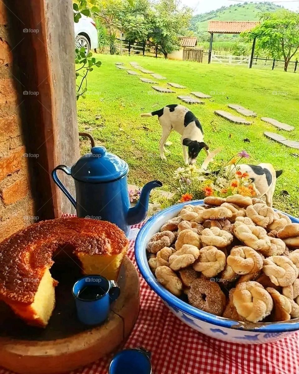 A very beautiful picture, and there is no better picture than it. There is no better picture of green herbs and colorful, red and white roses than it. Glory be to God, the natural and picturesque view, and there is no more