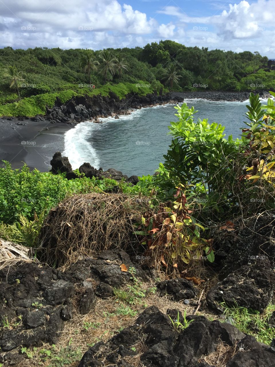 Black sand beach