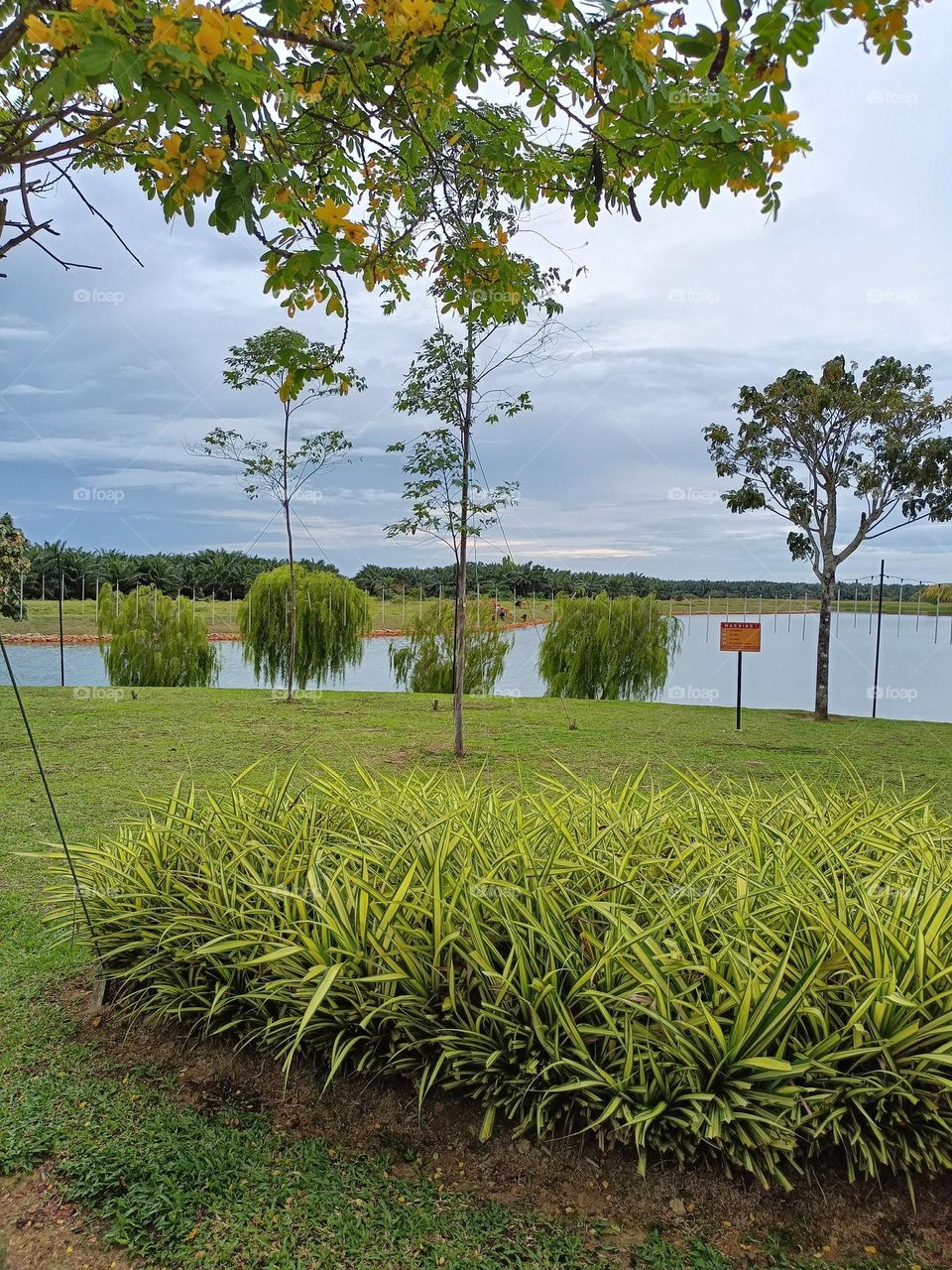 Lakeside view in the afternoon.Beautiful landscape at the park with blue sky, lake and plants.