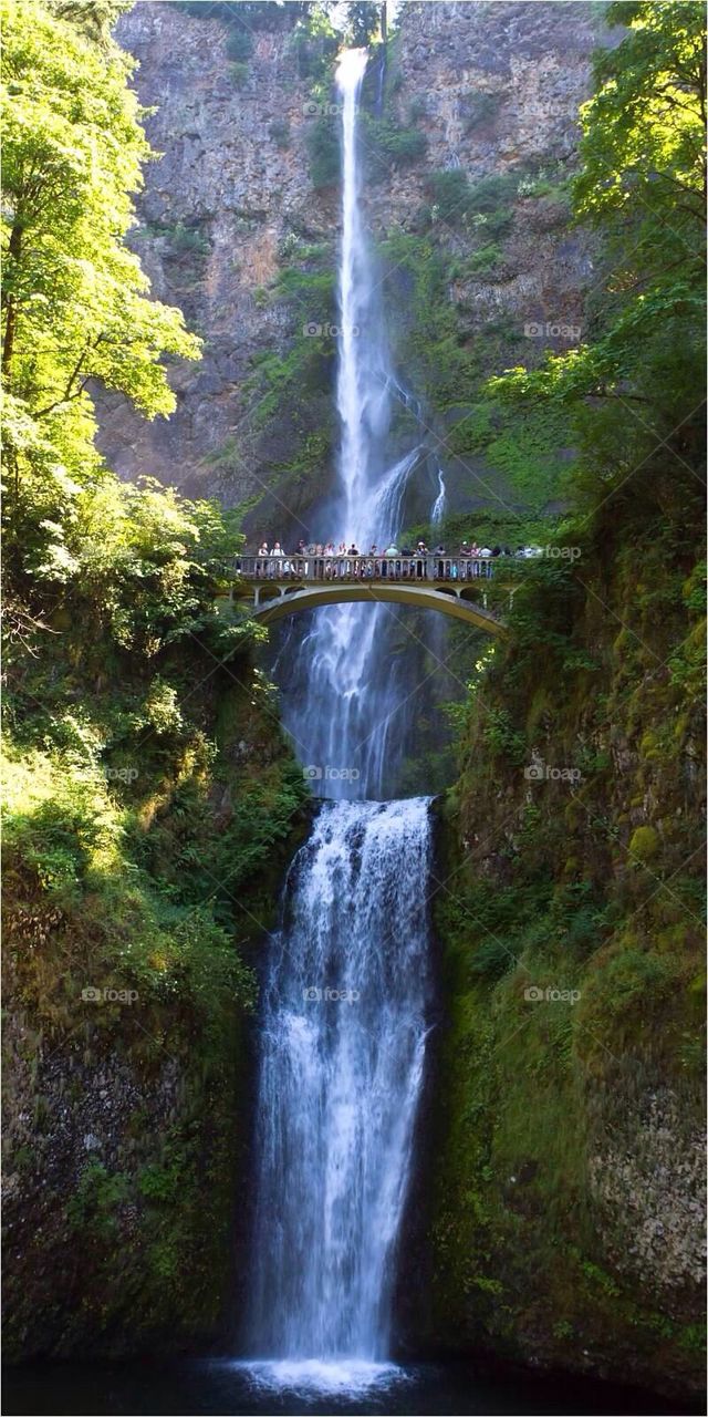 Multnomah Falls