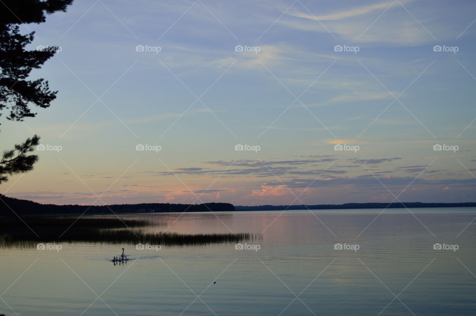 beautiful summer sunset