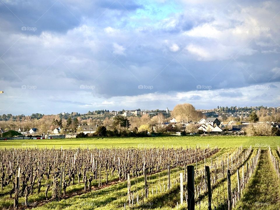 Countryside , Chinon March 2023 . 