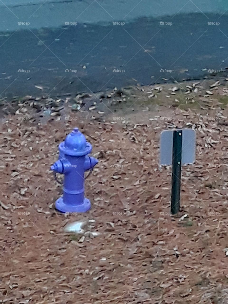 Series: Art In Color