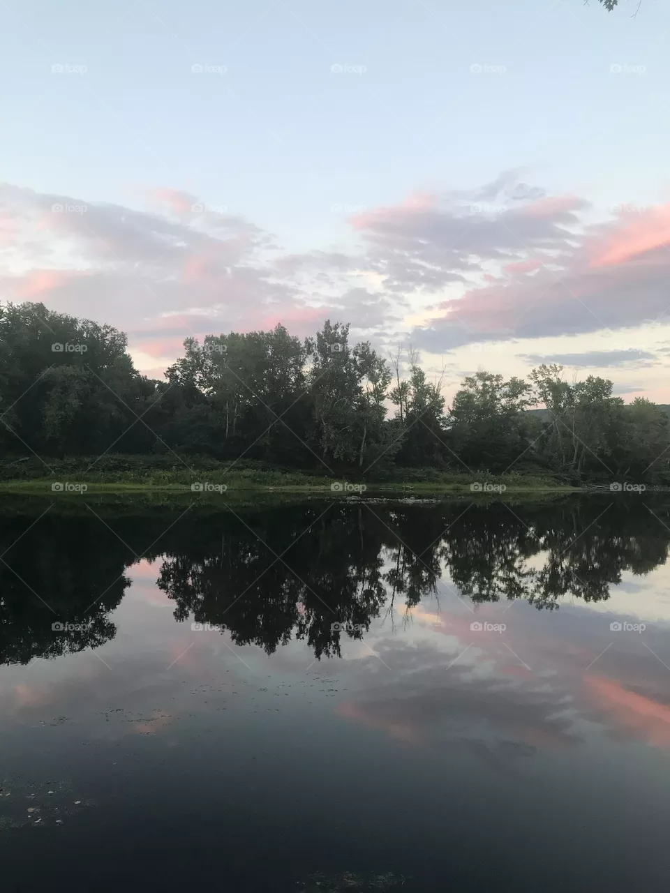 Reflection 