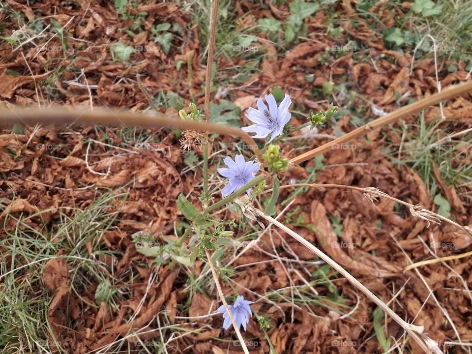 autumn is coming pt. 6