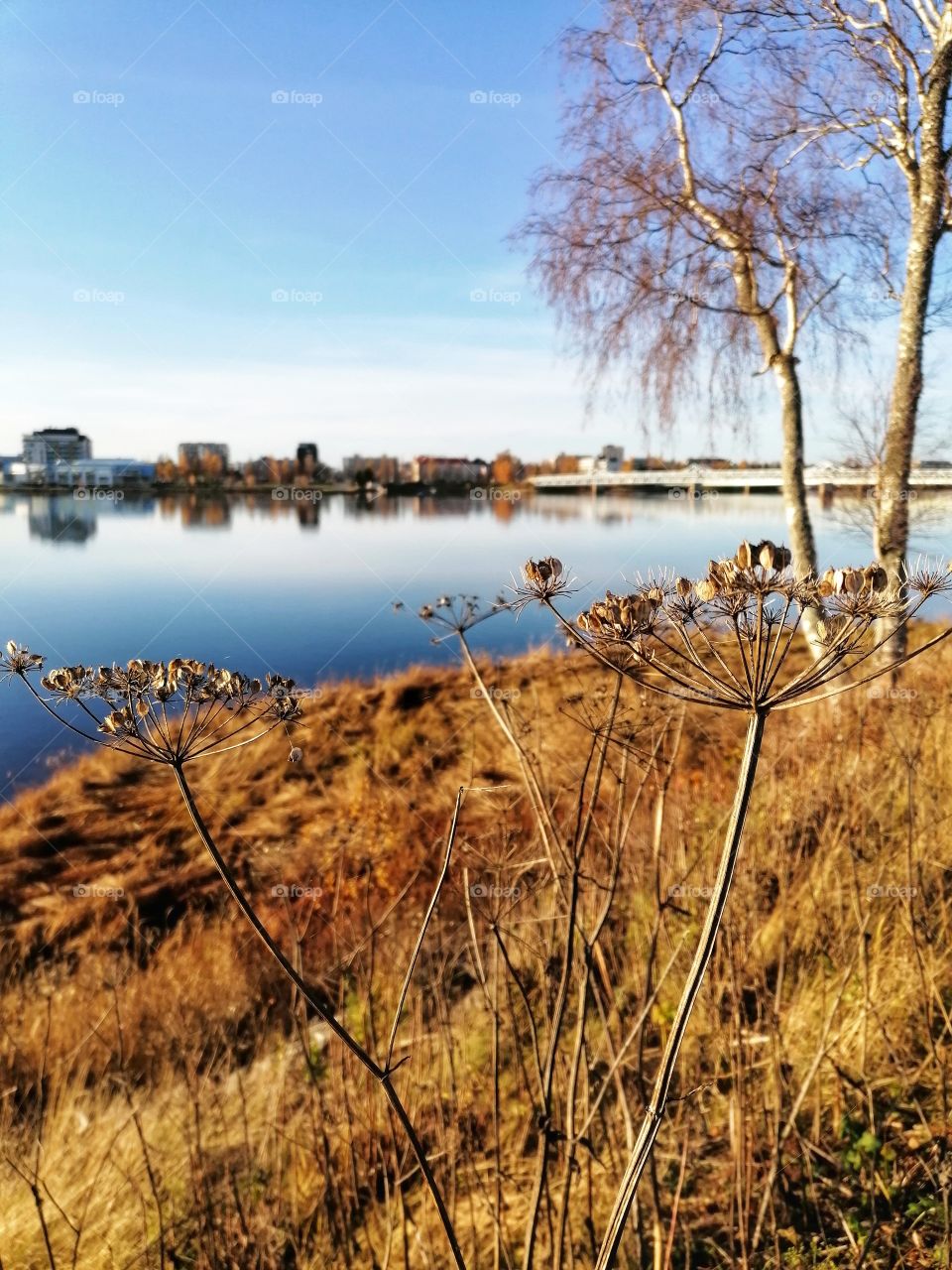 Great view on the Tornio River, Lapland, Finland in autumn.