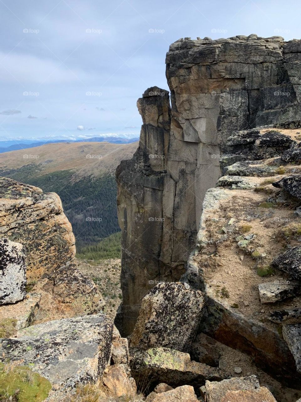 Ole smokey the bear.