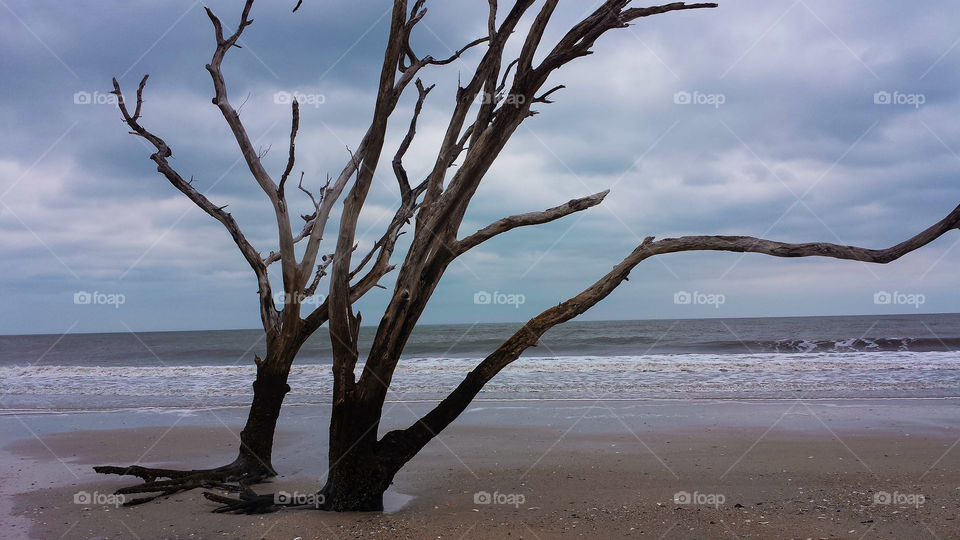 Botany Bay. A view of the sea from the bone yard of Botany Bay. 