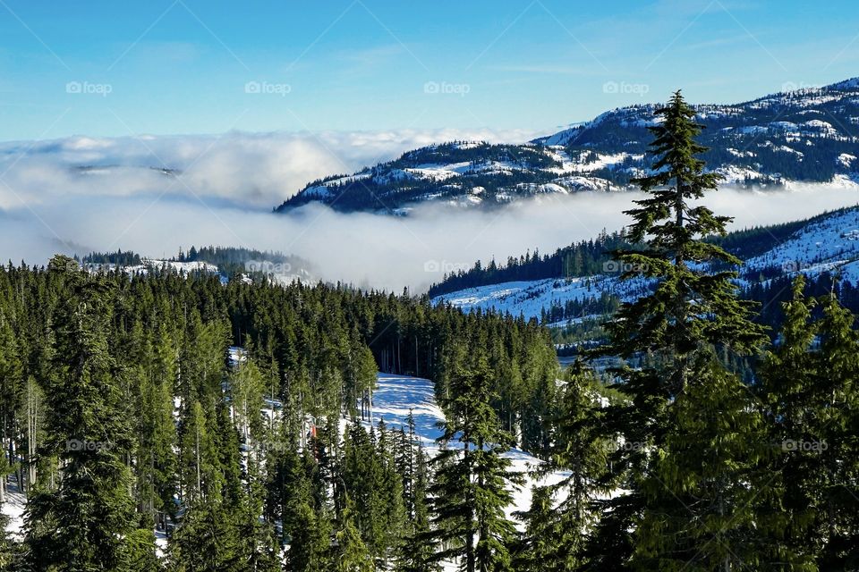 Mount Washington on Vancouver Island, Canada, with green trees on a blanket of snow