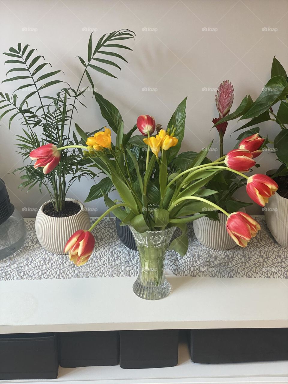  Colourful flowers at home 