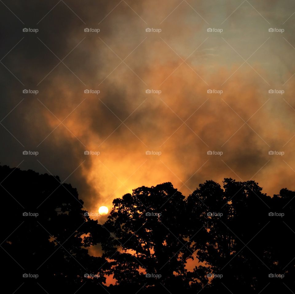 Low clouds burn off as the rising sun peeks over the oak tree. Raleigh, North Carolina. 