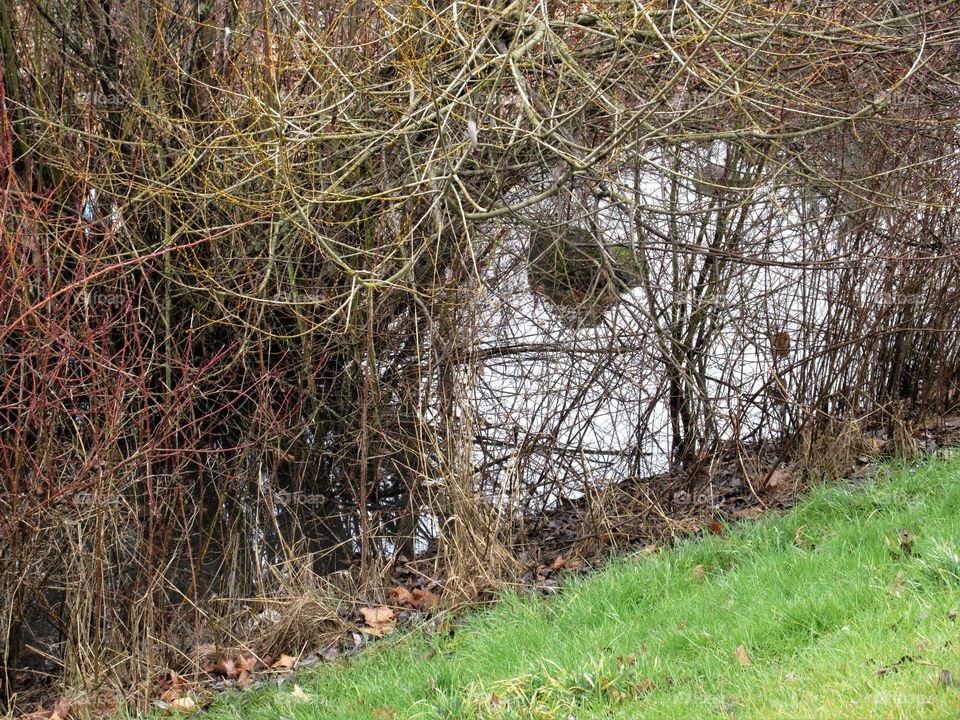 flooded ditch