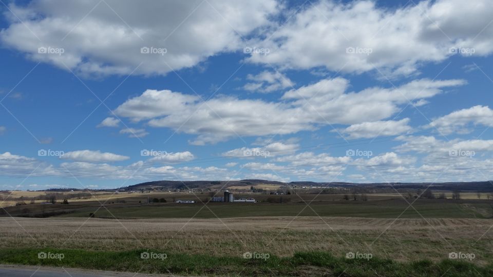 the view. Traded in suburban life