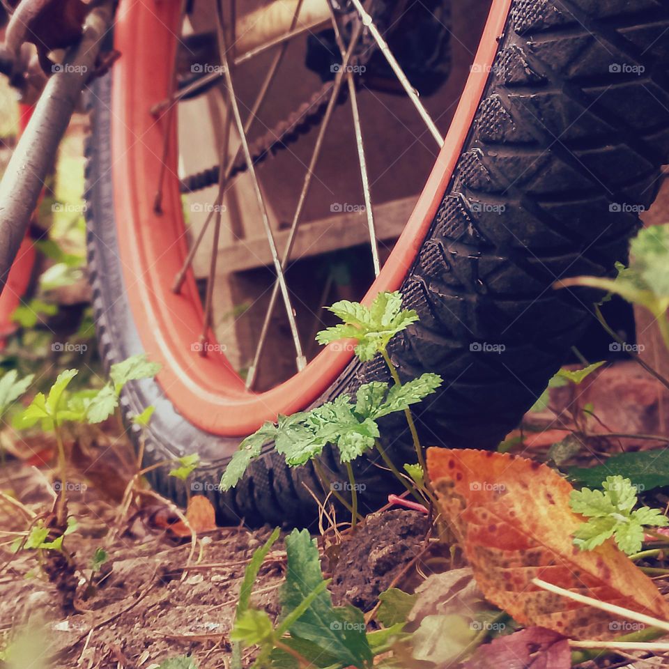 bicycle wheel.