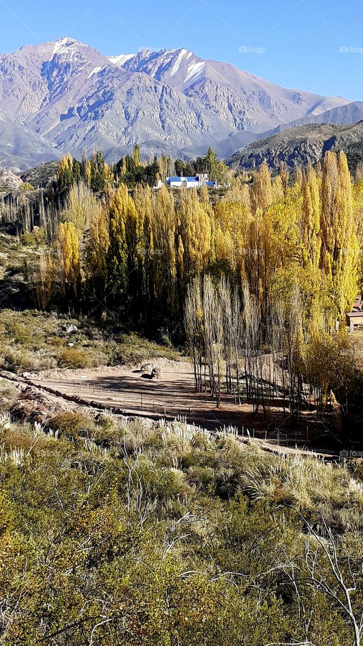 paisaje de otoño en montaña de Mendoza