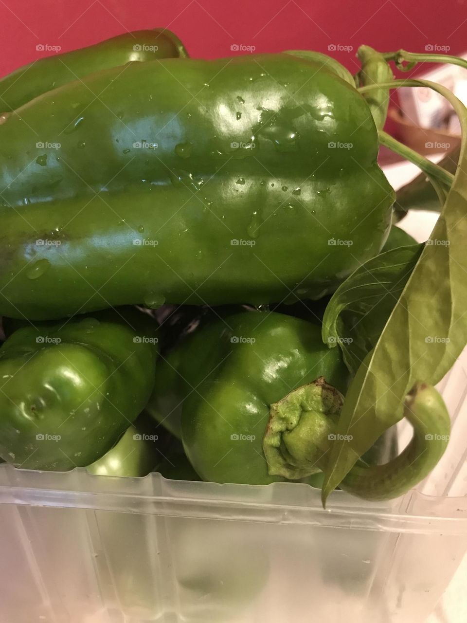 freshly picked green peppers
autumn vegetables