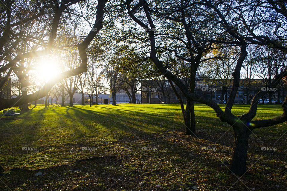 Happiness is being someone's sunshine when their skies are grey. 