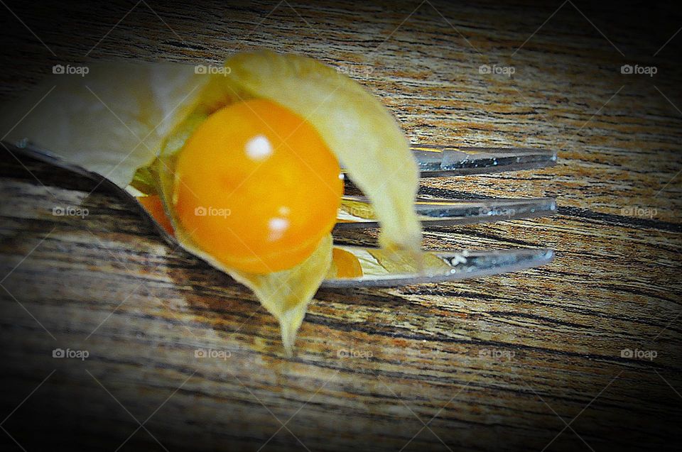 Physalis 1