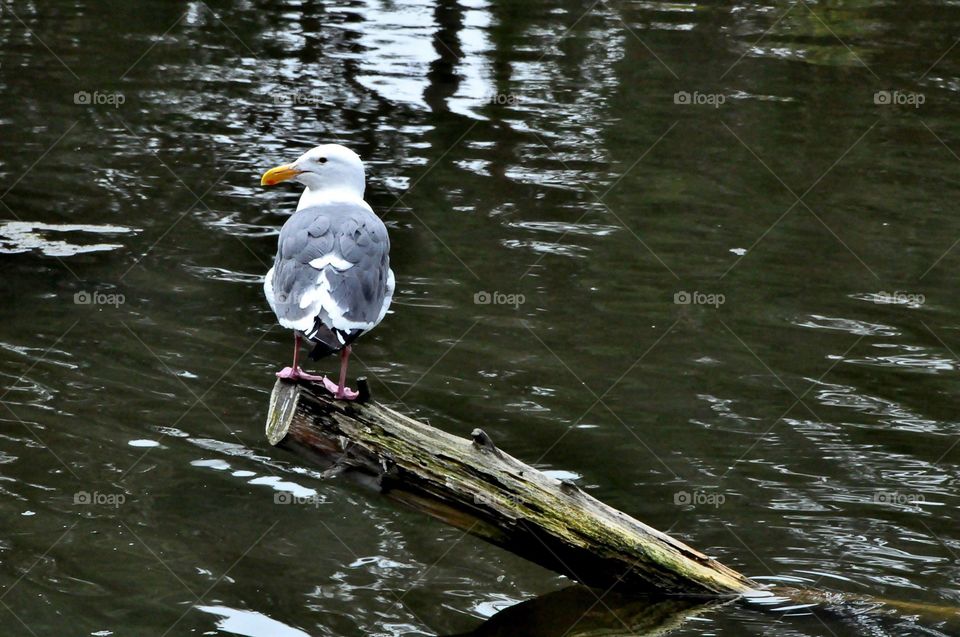 Waiting for something 