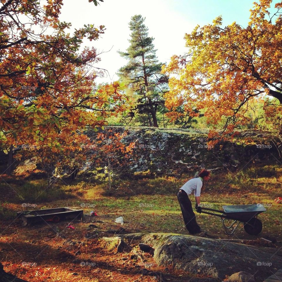 Autumn chores