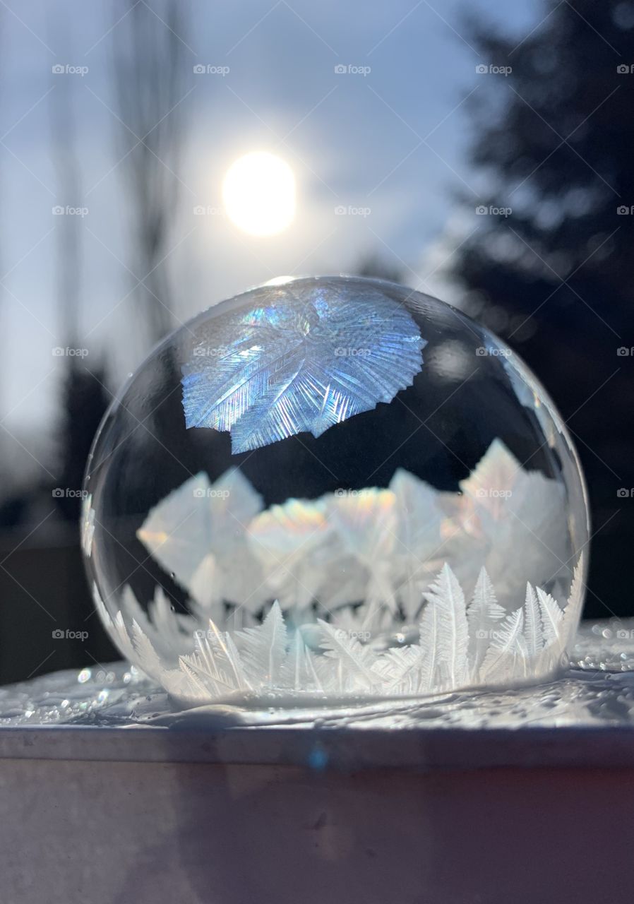 Frozen soap bubble in the sun