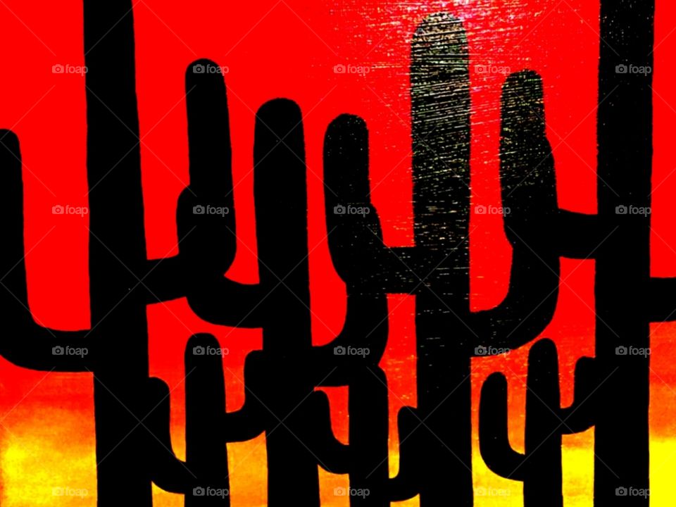 Saguaros In The Desert