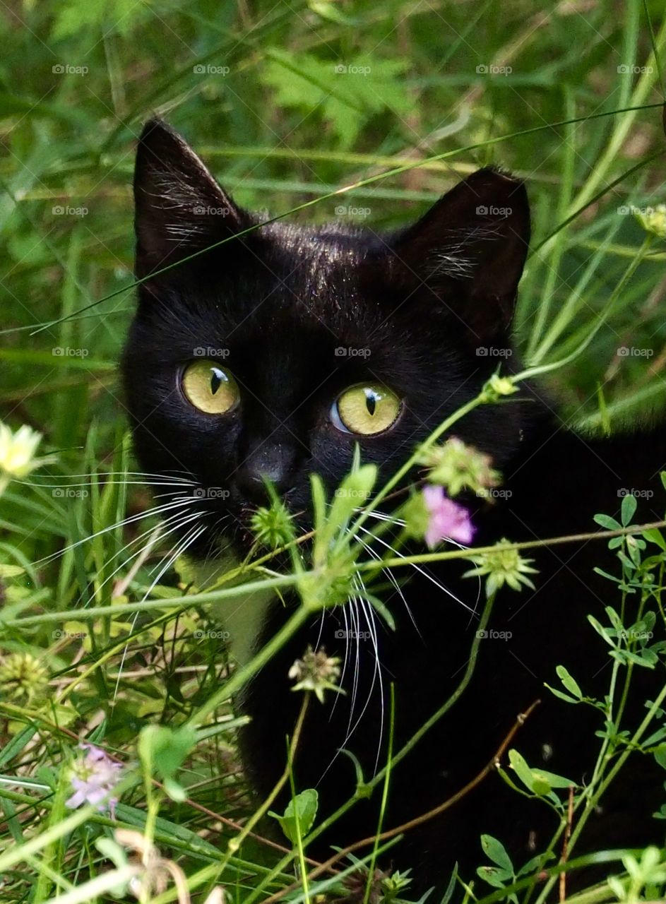 Hunter in the forest