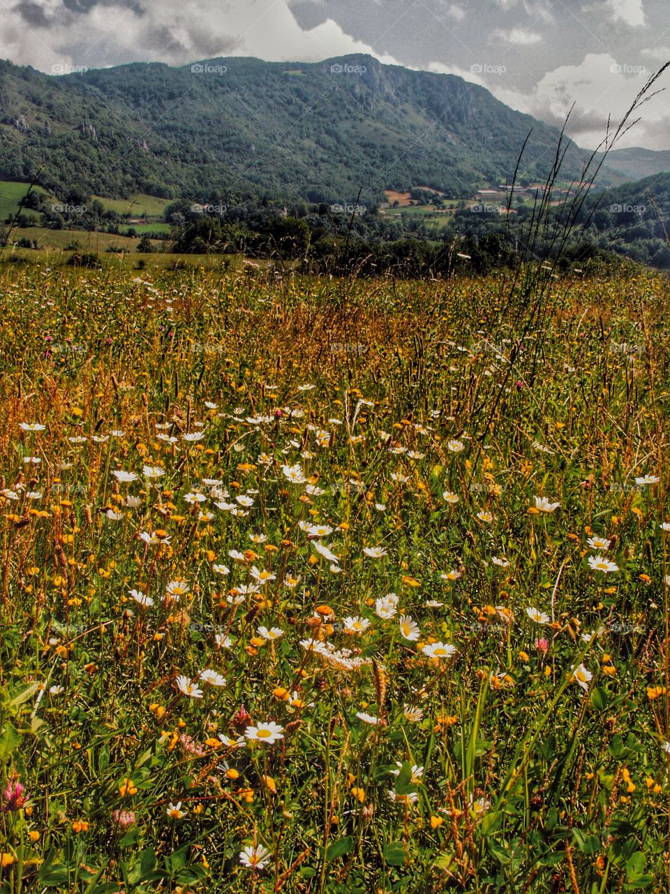 Pyrenees. Ariege