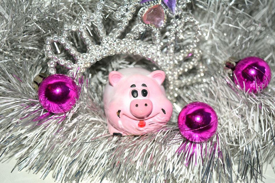 new year pig decor