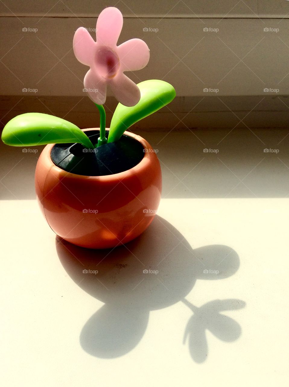 Shadow flower light window