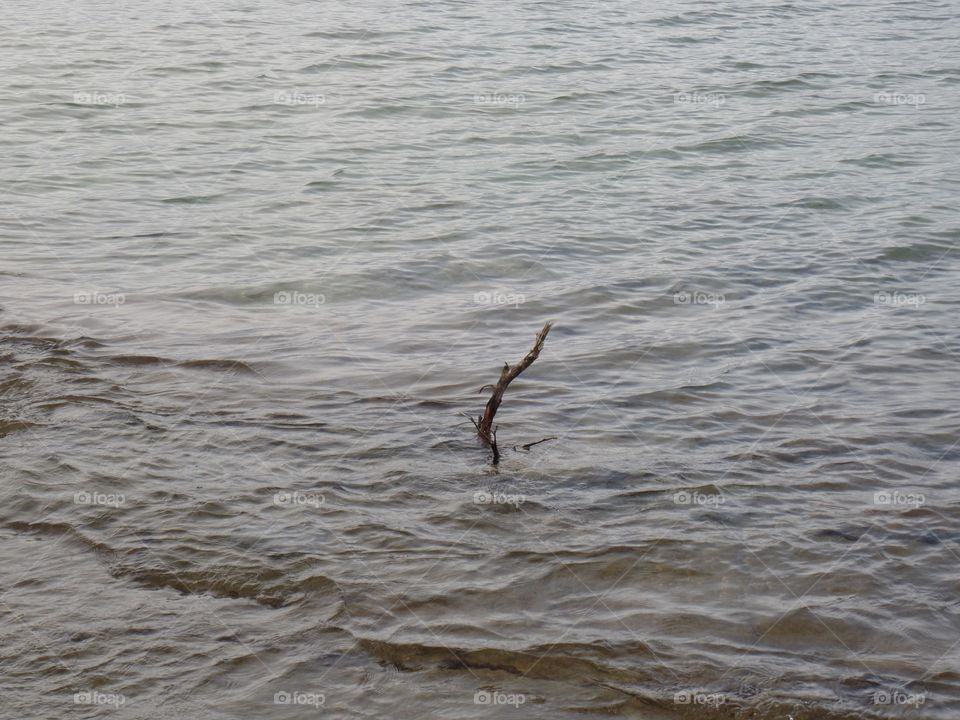 Drummond Island, Michigan 