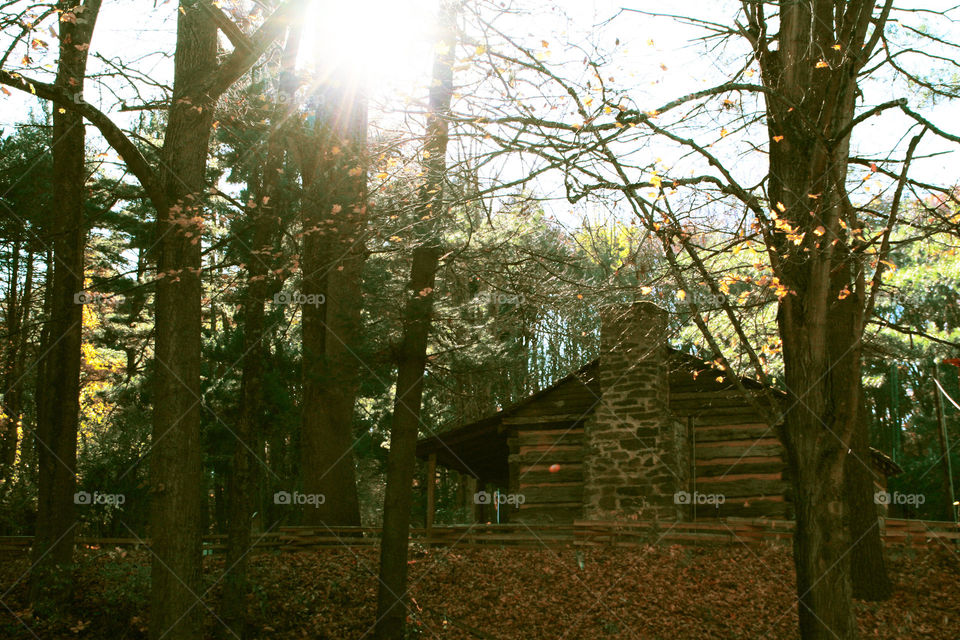 Autumn in Ohio ( Series )