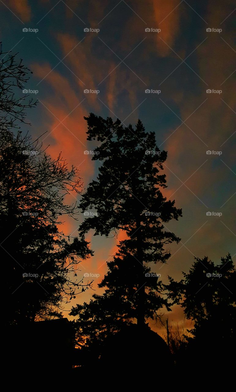 Meet me at twighlight,
to dance under this falling sun.