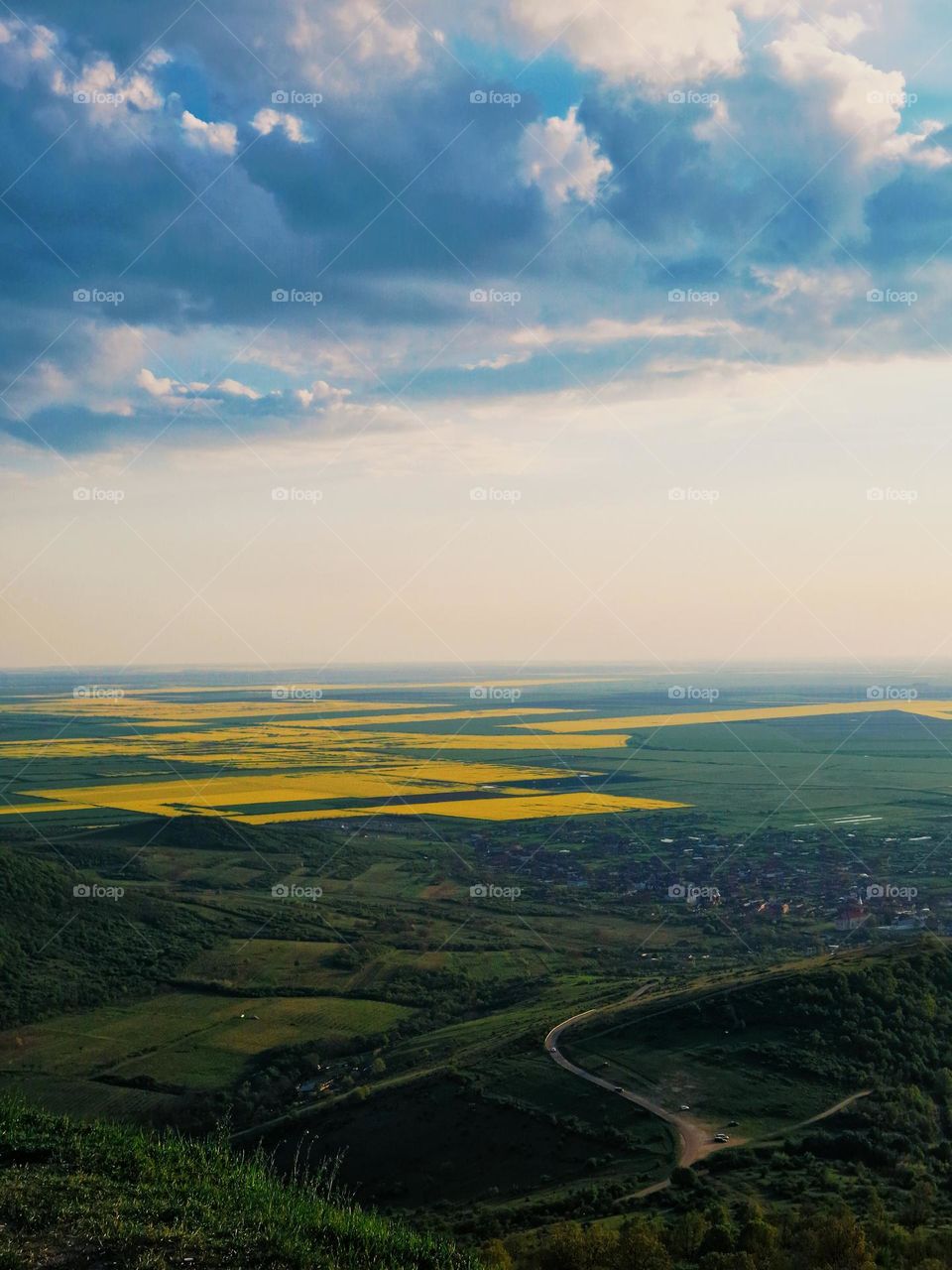 meadow landscape