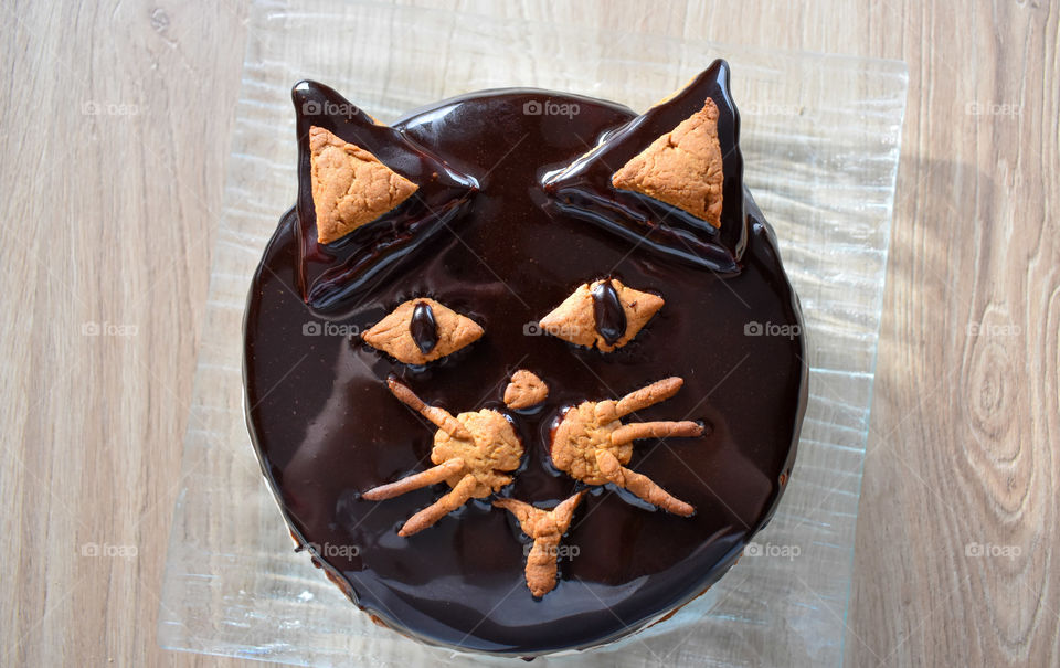 Cat cake