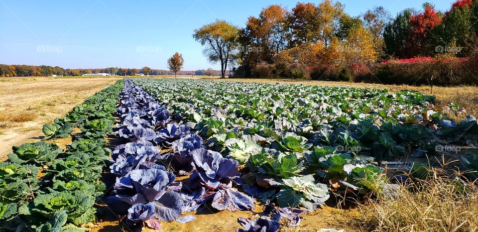 A beautiful autumn day.