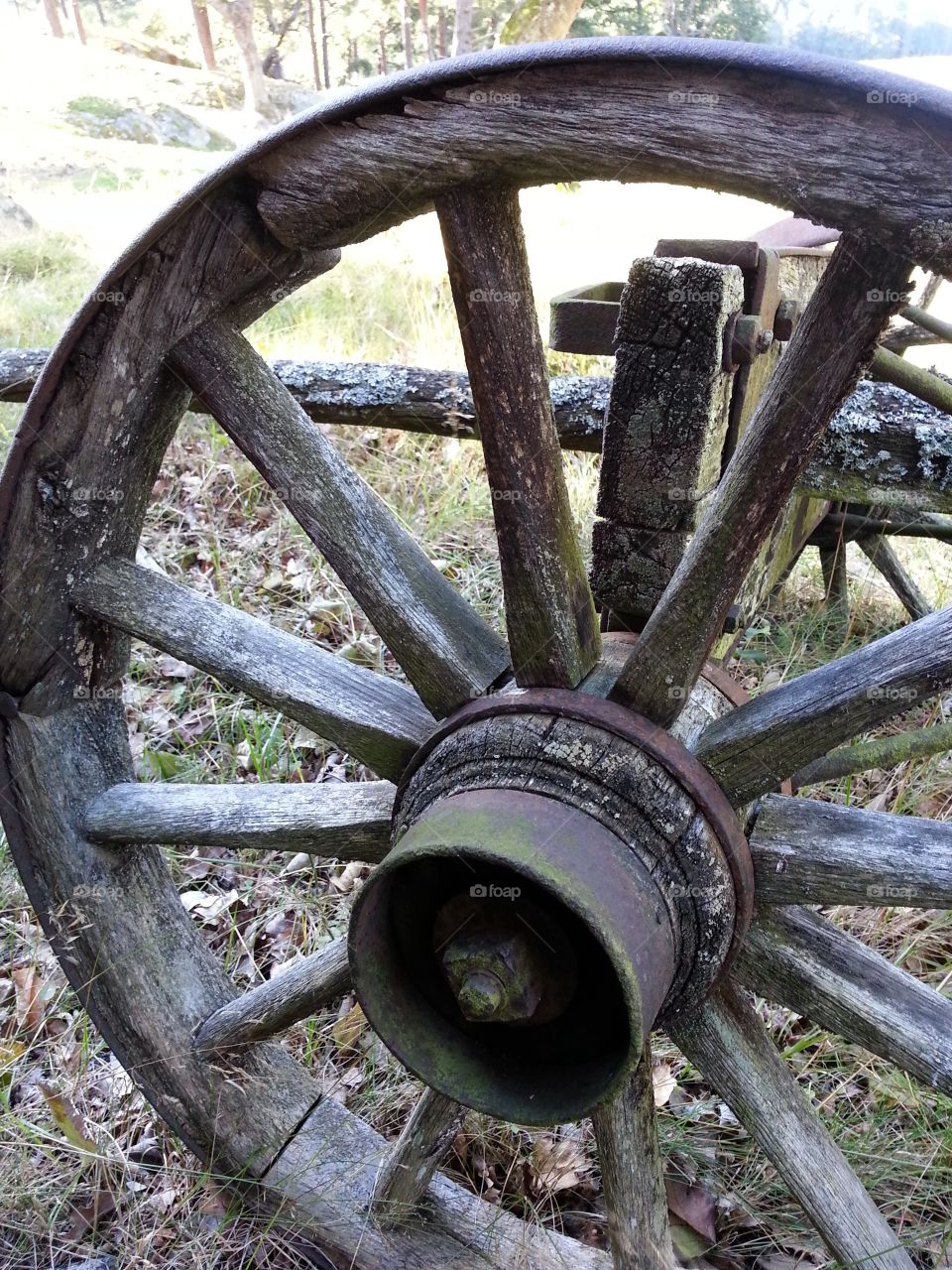 Ancient wagon wheel
