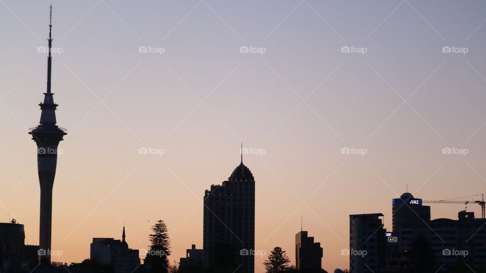Sunset landscape in Auckland - New Zealand
