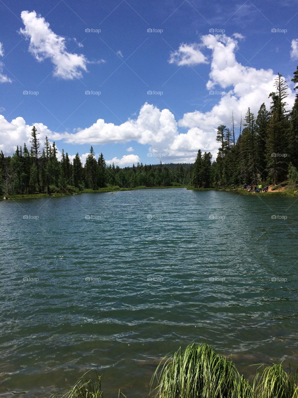Open Lake